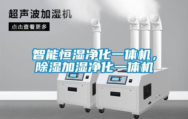 智能恒湿净化一体机，除湿加湿净化一体机