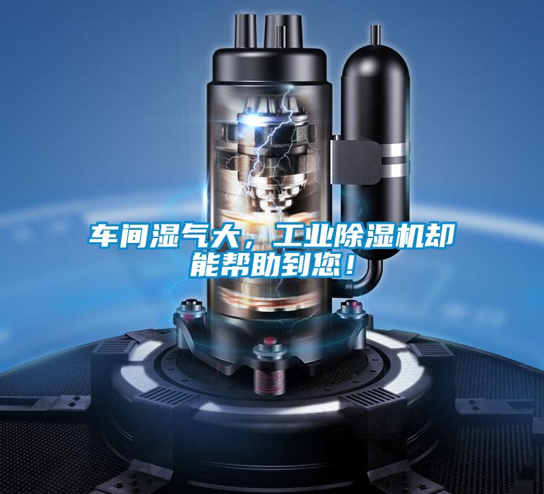 车间湿气大，工业粉色视频免费在线观看却能帮助到您！