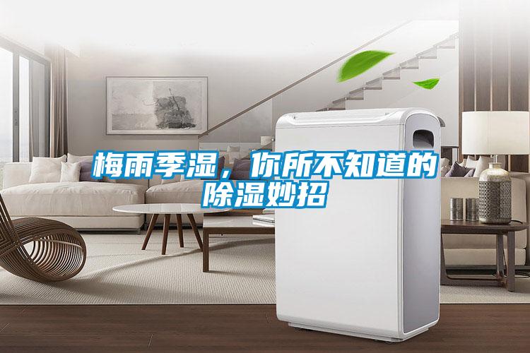 梅雨季湿，你所不知道的除湿妙招