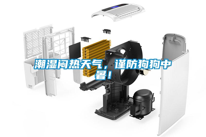 潮湿闷热天气，谨防狗狗中暑！