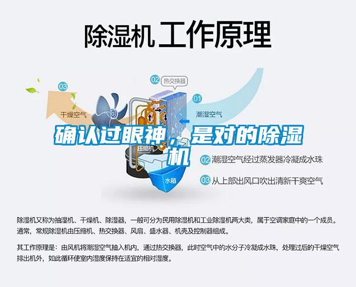 确认过眼神，是对的粉色视频免费在线观看