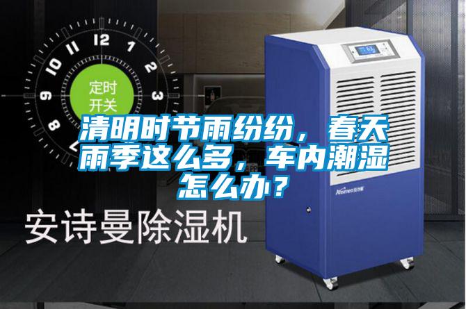 清明时节雨纷纷，春天雨季这么多，车内潮湿怎么办？