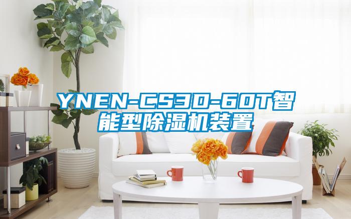 YNEN-CS3D-60T智能型粉色视频免费在线观看装置