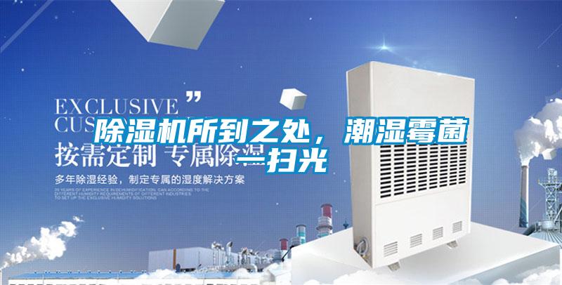 粉色视频免费在线观看所到之处，潮湿霉菌一扫光