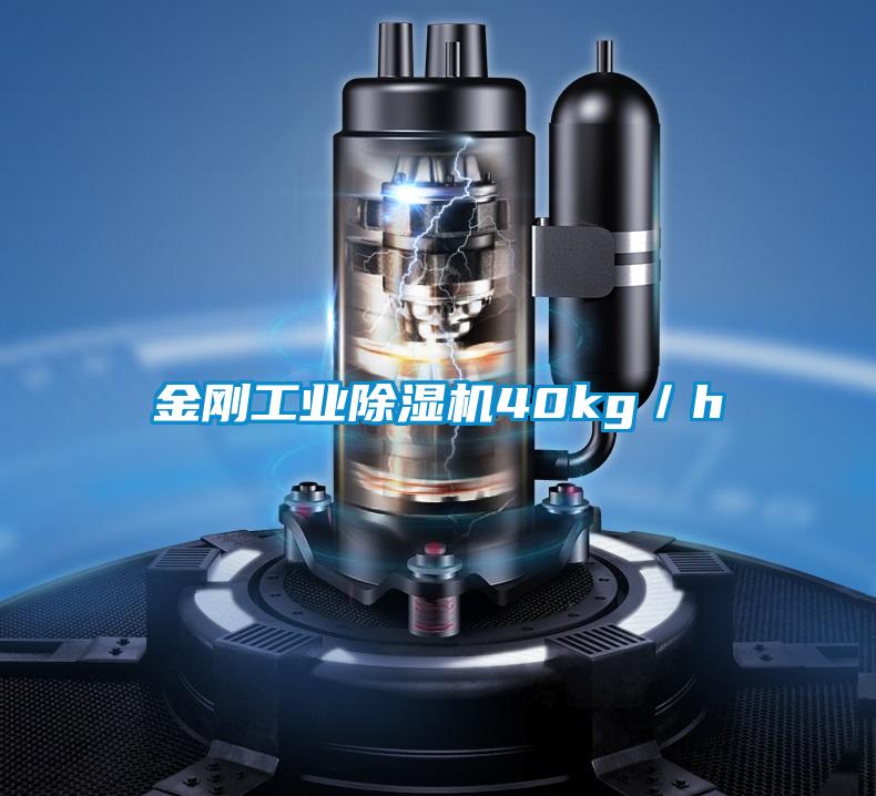 金刚工业粉色视频免费在线观看40kg／h