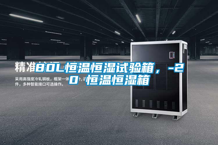 80L恒温恒湿试验箱，-20℃恒温恒湿箱