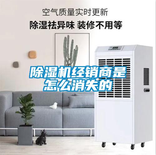 粉色视频免费在线观看经销商是怎么消失的