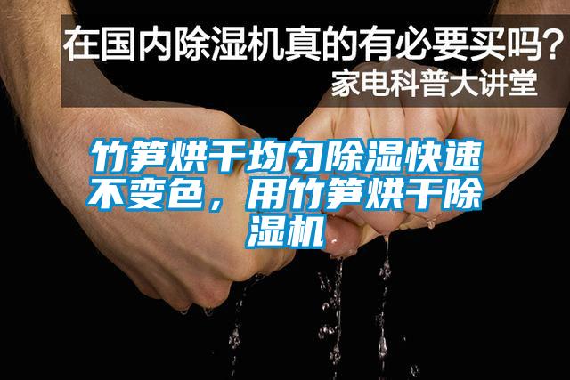 竹笋烘干均匀除湿快速不变色，用竹笋烘干粉色视频免费在线观看