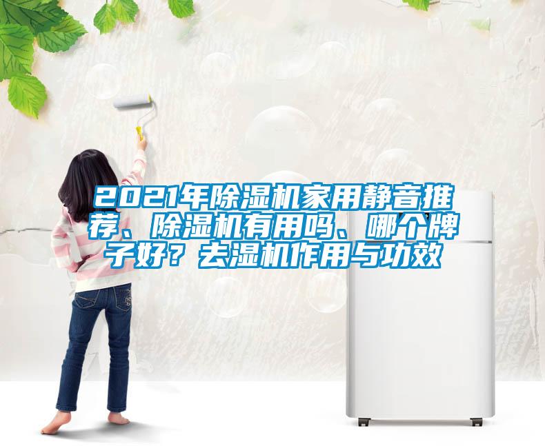 2021年粉色视频免费在线观看家用静音推荐、粉色视频免费在线观看有用吗、哪个牌子好？去湿机作用与功效