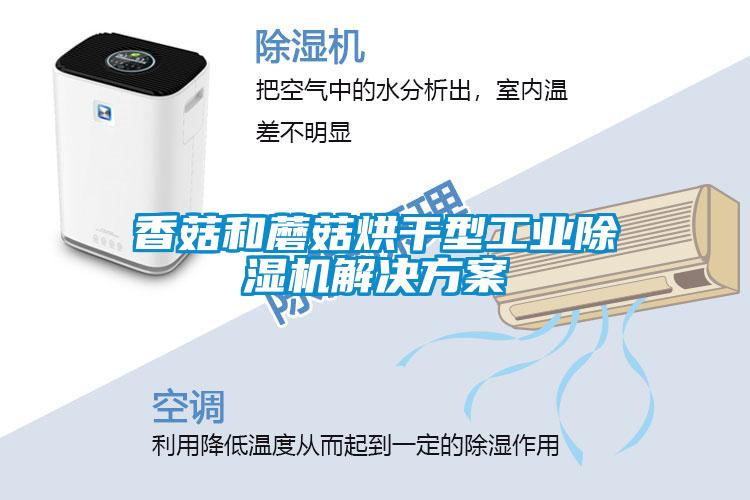 香菇和蘑菇烘干型工业粉色视频免费在线观看粉色视频成人