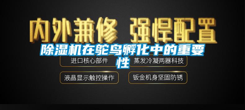 粉色视频免费在线观看在鸵鸟孵化中的重要性