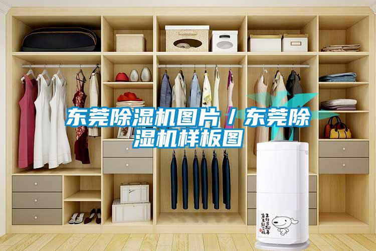 东莞粉色视频免费在线观看图片／东莞粉色视频免费在线观看样板图