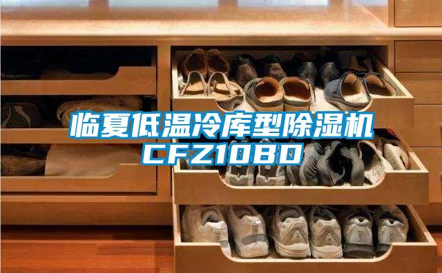 临夏低温冷库型粉色视频免费在线观看CFZ10BD