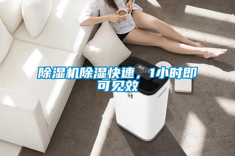 粉色视频免费在线观看除湿快速，1小时即可见效