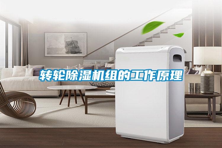 转轮粉色视频免费在线观看组的工作原理