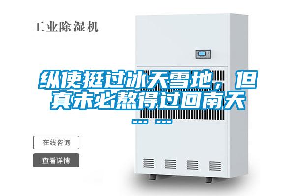 纵使挺过冰天雪地，但真未必熬得过回南天……
