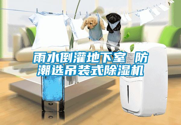 雨水倒灌地下室 防潮选吊装式粉色视频免费在线观看