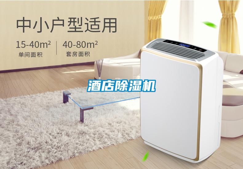 酒店粉色视频免费在线观看