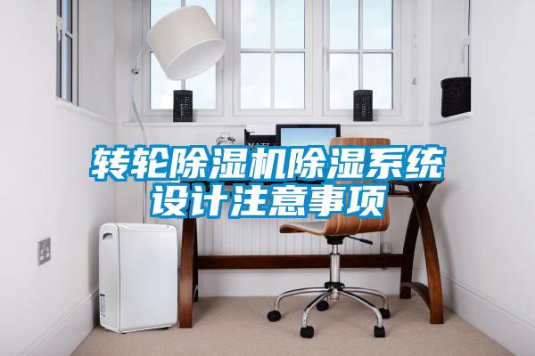 转轮粉色视频免费在线观看除湿系统设计注意事项