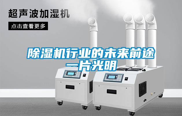 粉色视频免费在线观看行业的未来前途一片光明