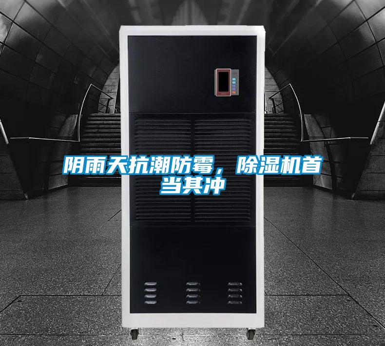 阴雨天抗潮防霉，粉色视频免费在线观看首当其冲