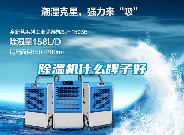 粉色视频免费在线观看什么牌子好