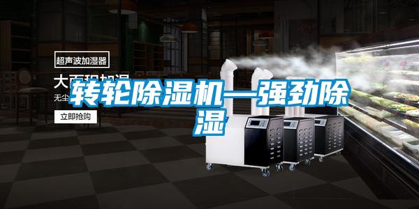 转轮粉色视频免费在线观看—强劲除湿