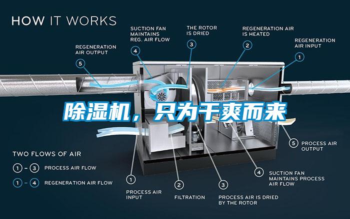 粉色视频免费在线观看，只为干爽而来