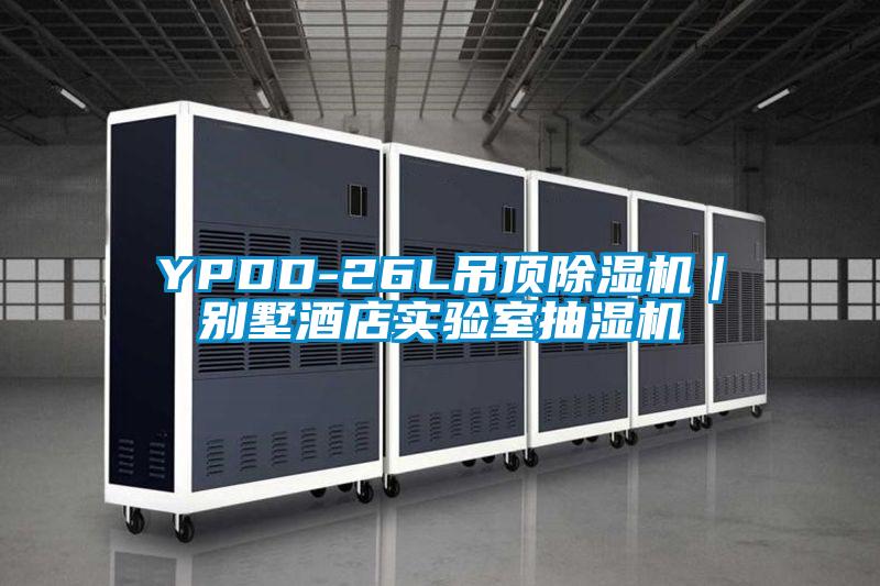 YPDD-26L吊顶粉色视频免费在线观看｜别墅酒店实验室抽湿机