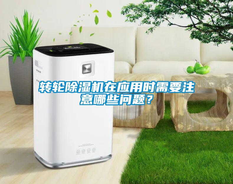 转轮粉色视频免费在线观看在应用时需要注意哪些问题？