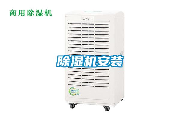 粉色视频免费在线观看安装