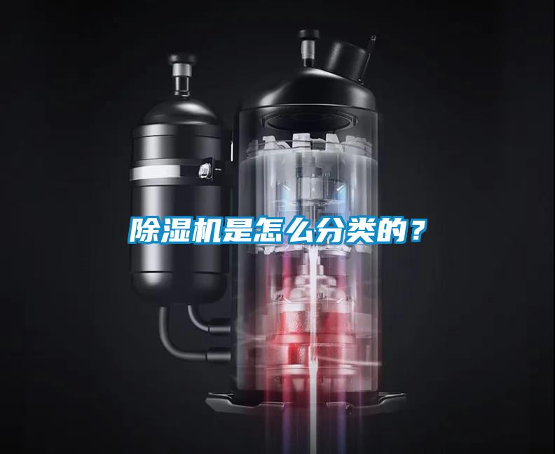 粉色视频免费在线观看是怎么分类的？