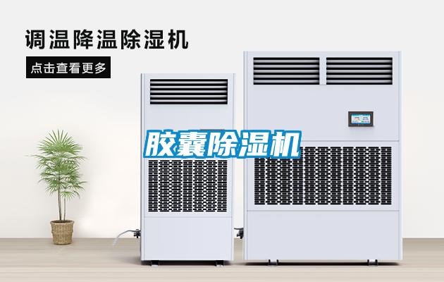 胶囊粉色视频免费在线观看