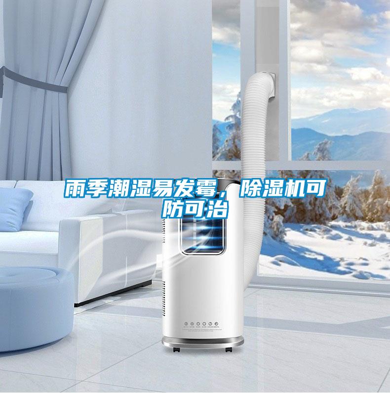 雨季潮湿易发霉，粉色视频免费在线观看可防可治