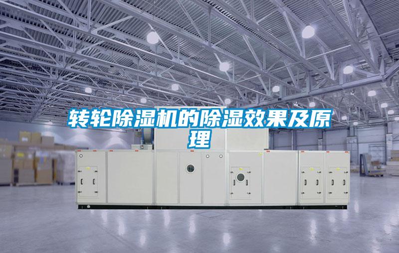 转轮粉色视频免费在线观看的除湿效果及原理
