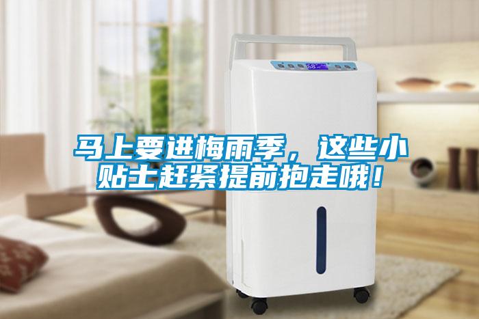 马上要进梅雨季，这些小贴士赶紧提前抱走哦！