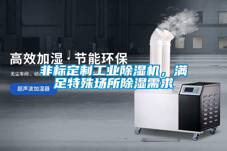 非标定制工业粉色视频免费在线观看，满足特殊场所除湿需求