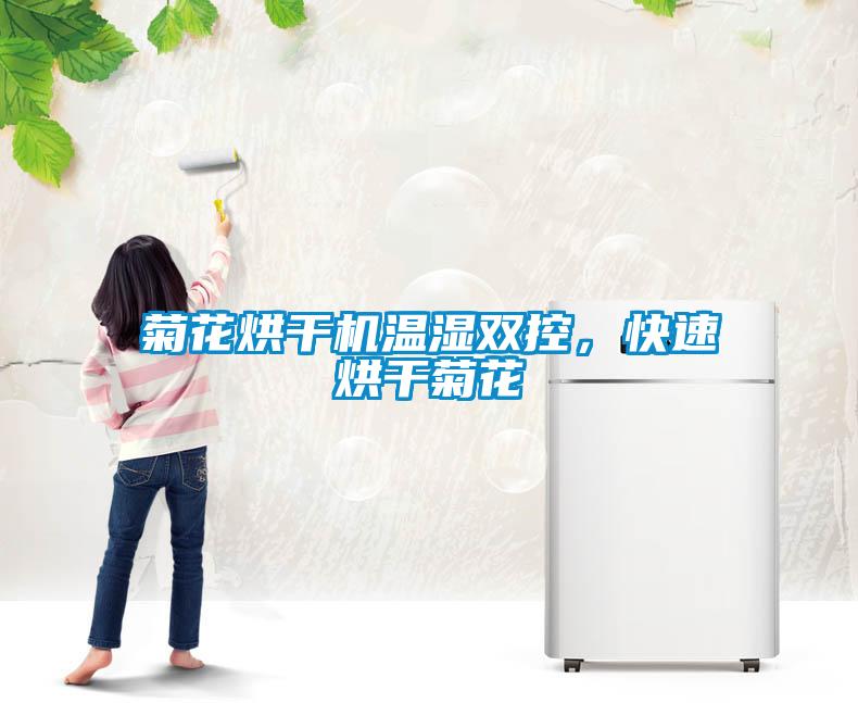 菊花烘干机温湿双控，快速烘干菊花
