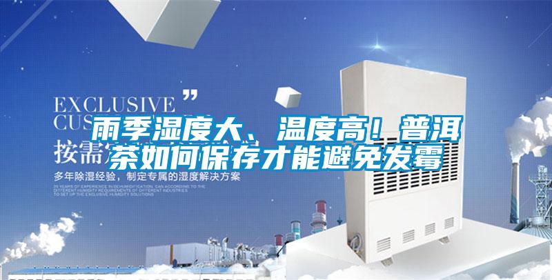 雨季湿度大、温度高！普洱茶如何保存才能避免发霉