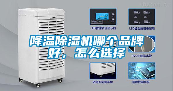 降温粉色视频免费在线观看哪个品牌好，怎么选择