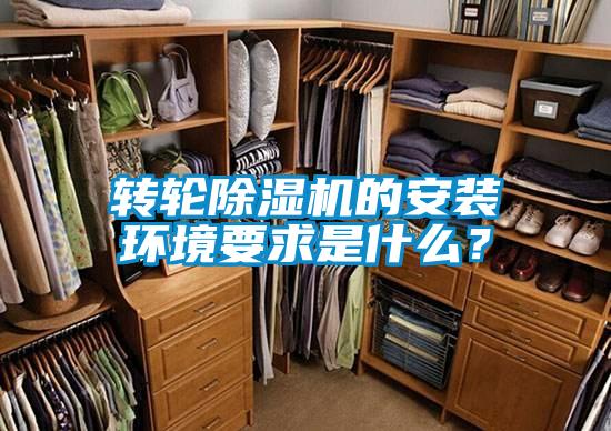 转轮粉色视频免费在线观看的安装环境要求是什么？