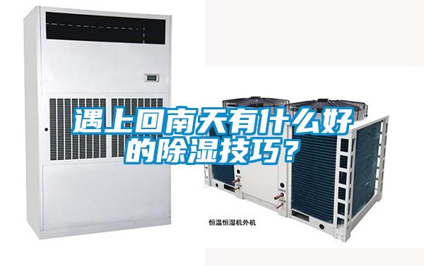 遇上回南天有什么好的除湿技巧？