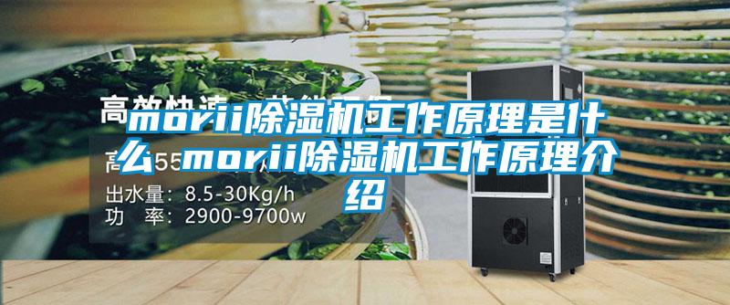 morii粉色视频免费在线观看工作原理是什么 morii粉色视频免费在线观看工作原理介绍