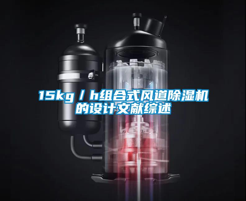 15kg／h组合式风道粉色视频免费在线观看的设计文献综述
