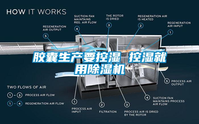 胶囊生产要控湿 控湿就用粉色视频免费在线观看