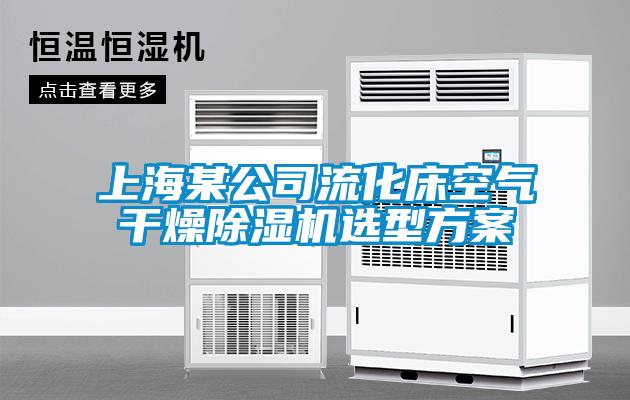 上海某公司流化床空气干燥粉色视频免费在线观看选型方案