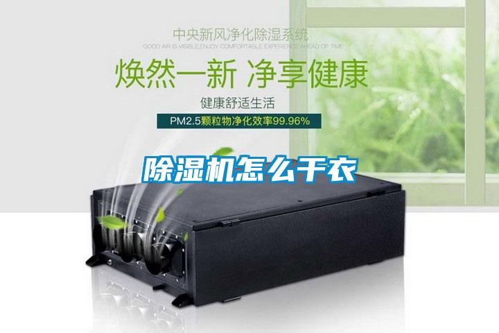 粉色视频免费在线观看怎么干衣