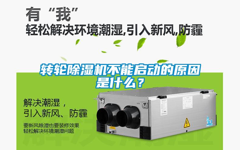 转轮粉色视频免费在线观看不能启动的原因是什么？