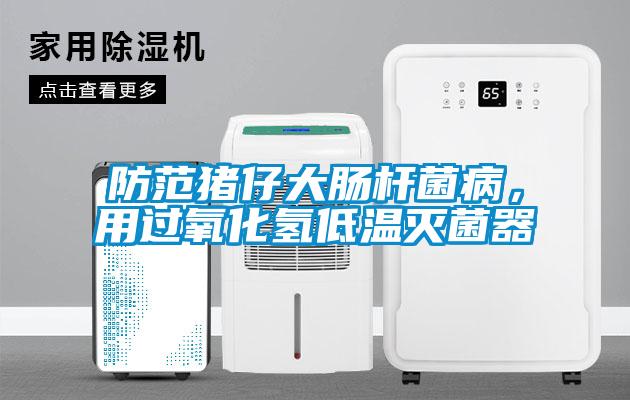 防范猪仔大肠杆菌病，用过氧化氢低温灭菌器