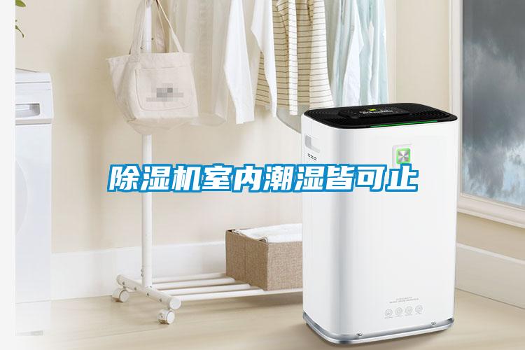 粉色视频免费在线观看室内潮湿皆可止